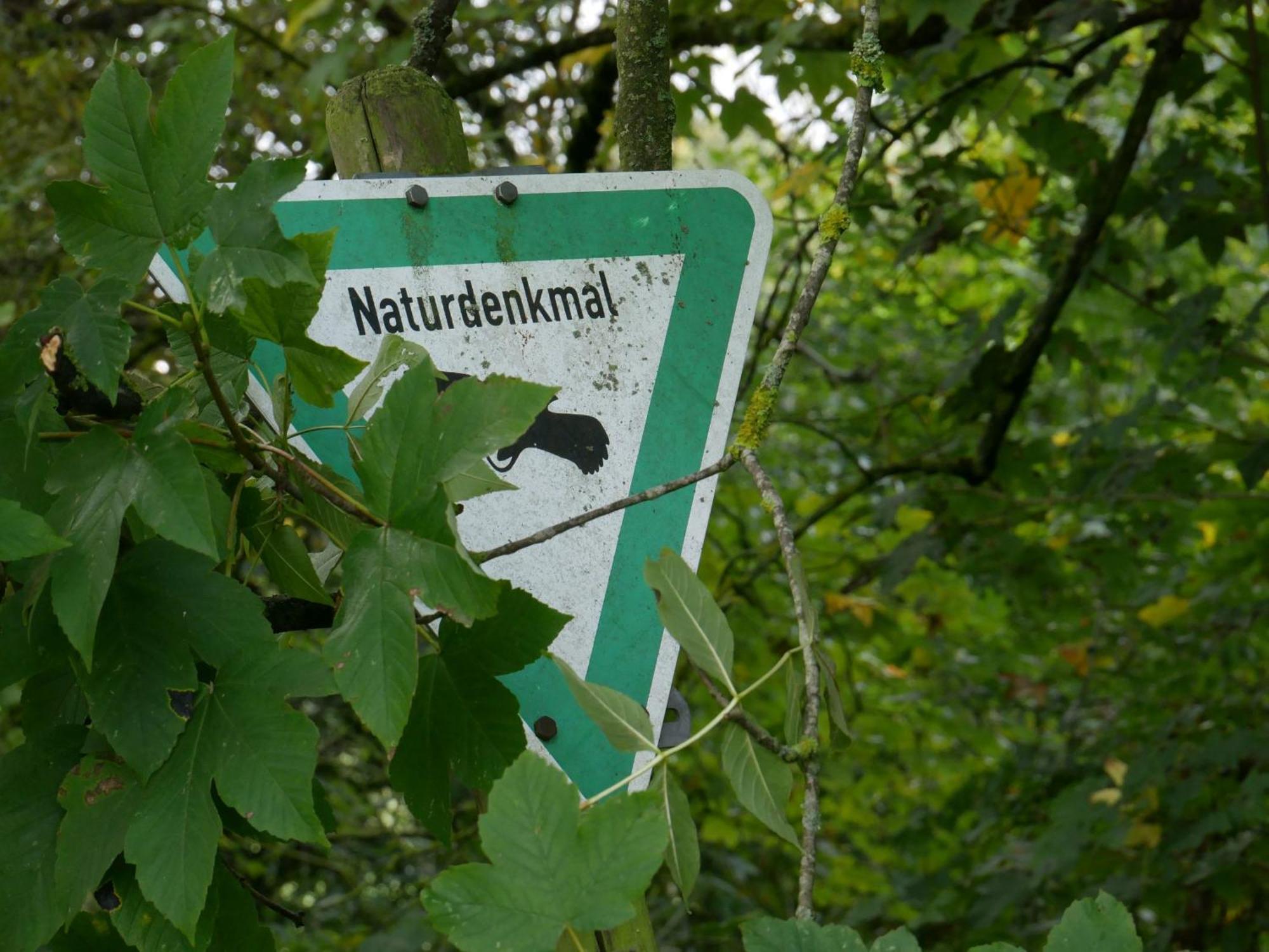 Ferienwohnungen Knodel Sachsenheim Ngoại thất bức ảnh